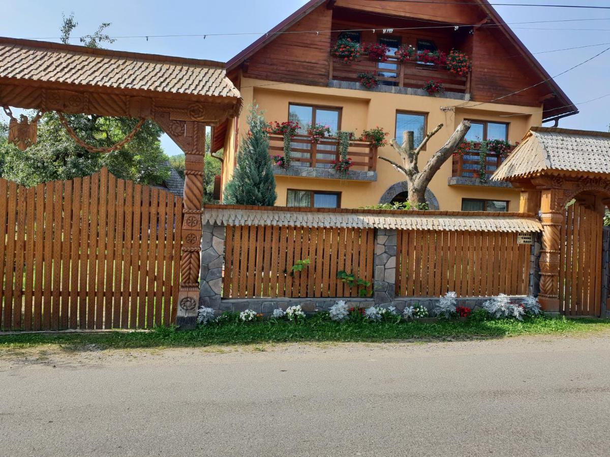 Pensiunea Ancuta Din Botiza Exteriér fotografie