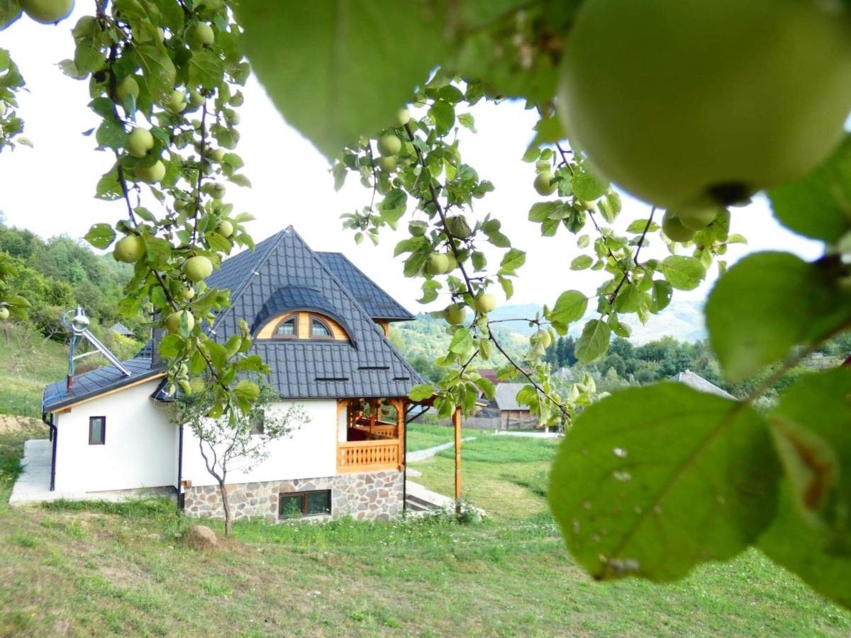 Pensiunea Ancuta Din Botiza Exteriér fotografie