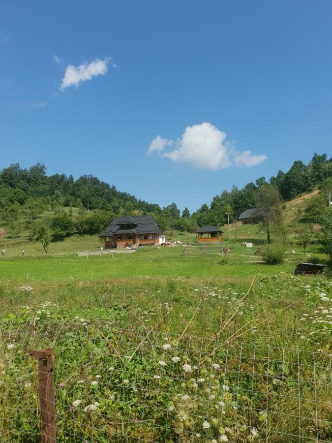 Pensiunea Ancuta Din Botiza Exteriér fotografie