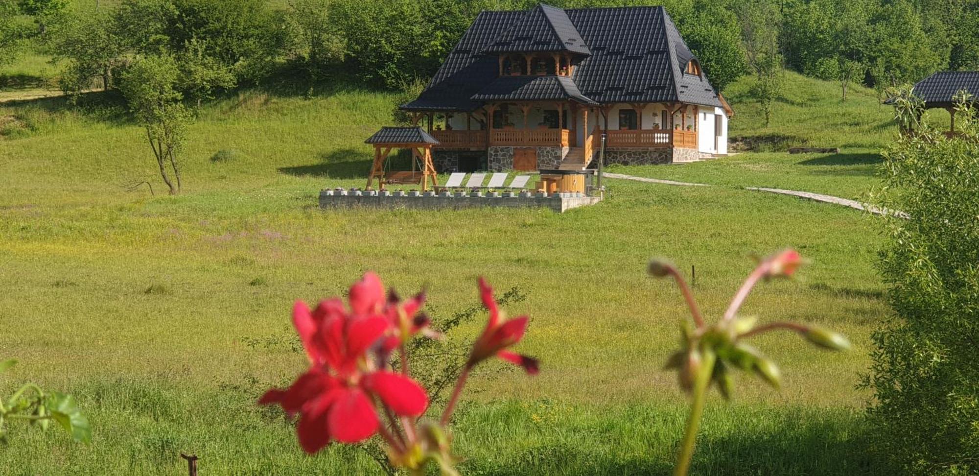 Pensiunea Ancuta Din Botiza Pokoj fotografie